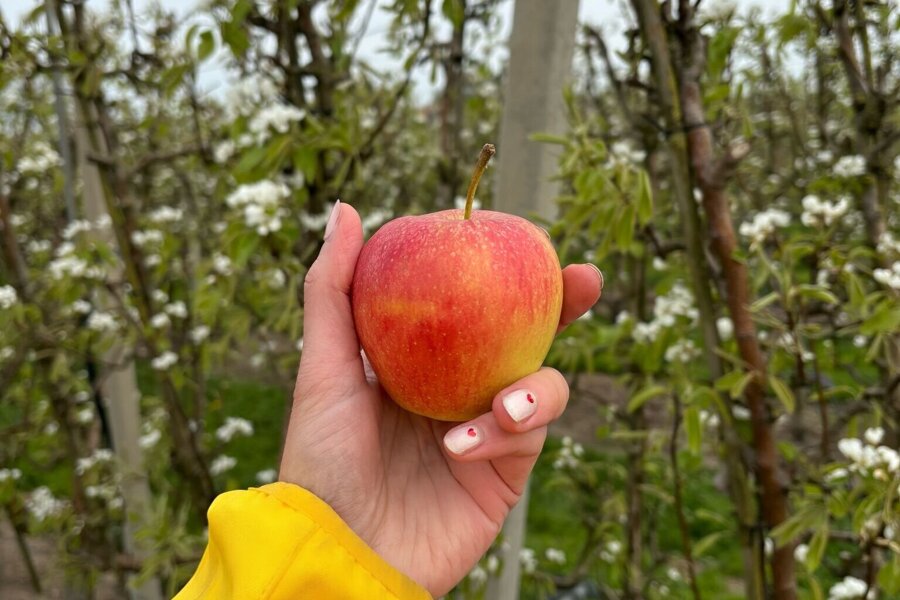 WhatsApp Image 2026-04-13 at 10.37.05 (12).jpeg