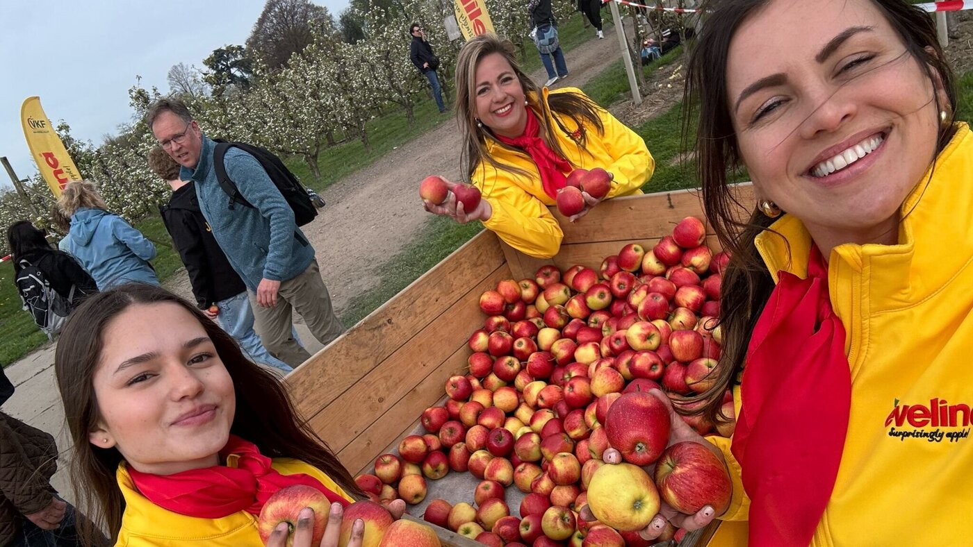 WhatsApp Image 2026-04-13 at 10.37.05 (7).jpeg