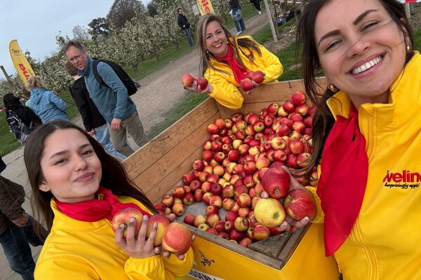 WhatsApp Image 2026-04-13 at 10.37.05 (7).jpeg