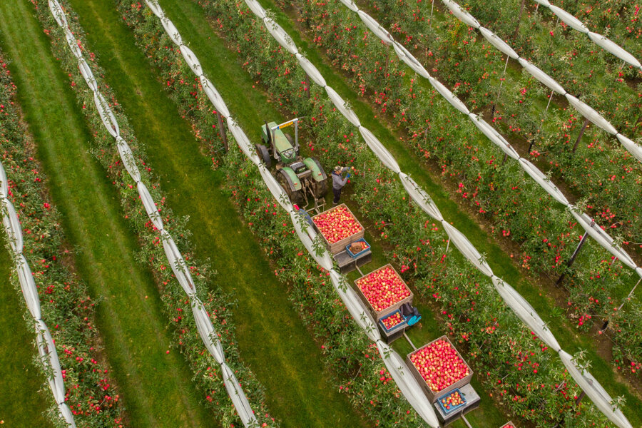 Van Kessel Fruit - Evelina-0929.jpg