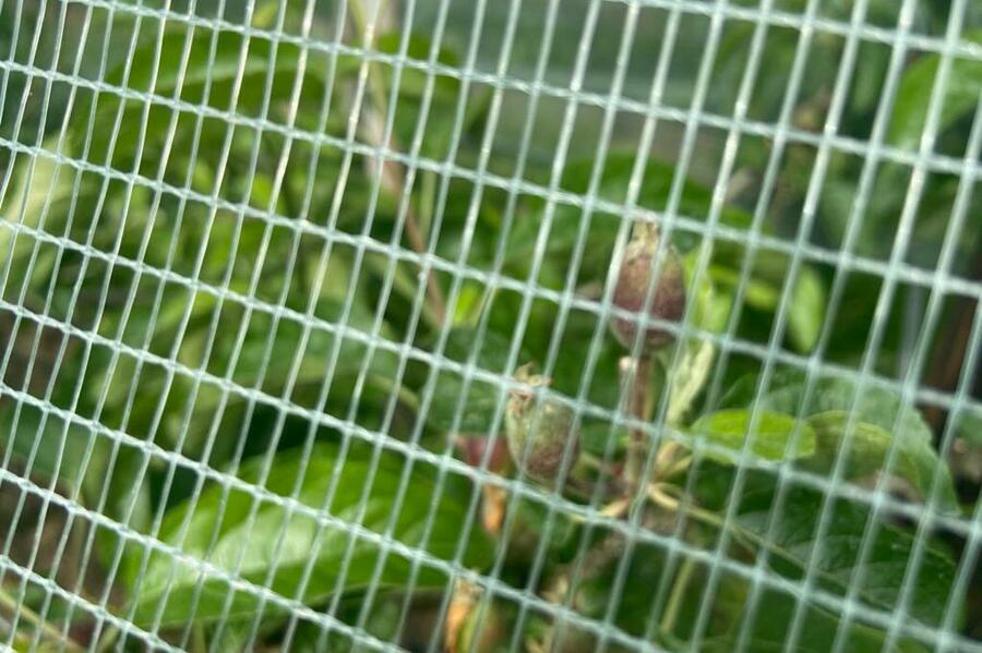 WhatsApp Image 2021-06-04 at 11.11.09.jpeg