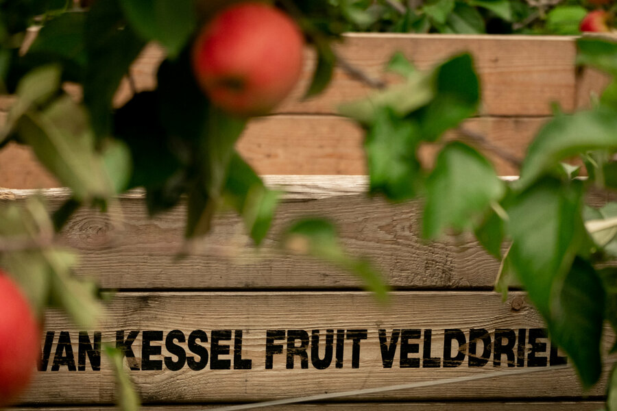 Van Kessel Fruit - Evelina-0928.jpg