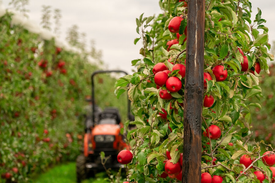 Van Kessel Fruit - Evelina-.jpg