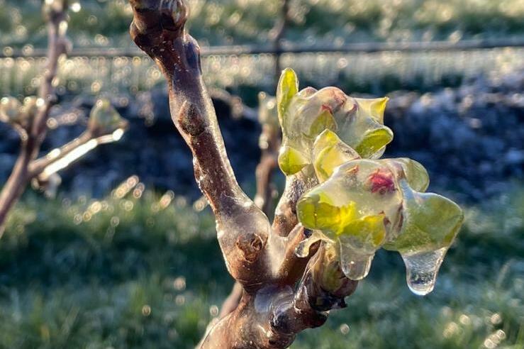 Benevelen om bevriezing tegen te gaan (5).jpeg