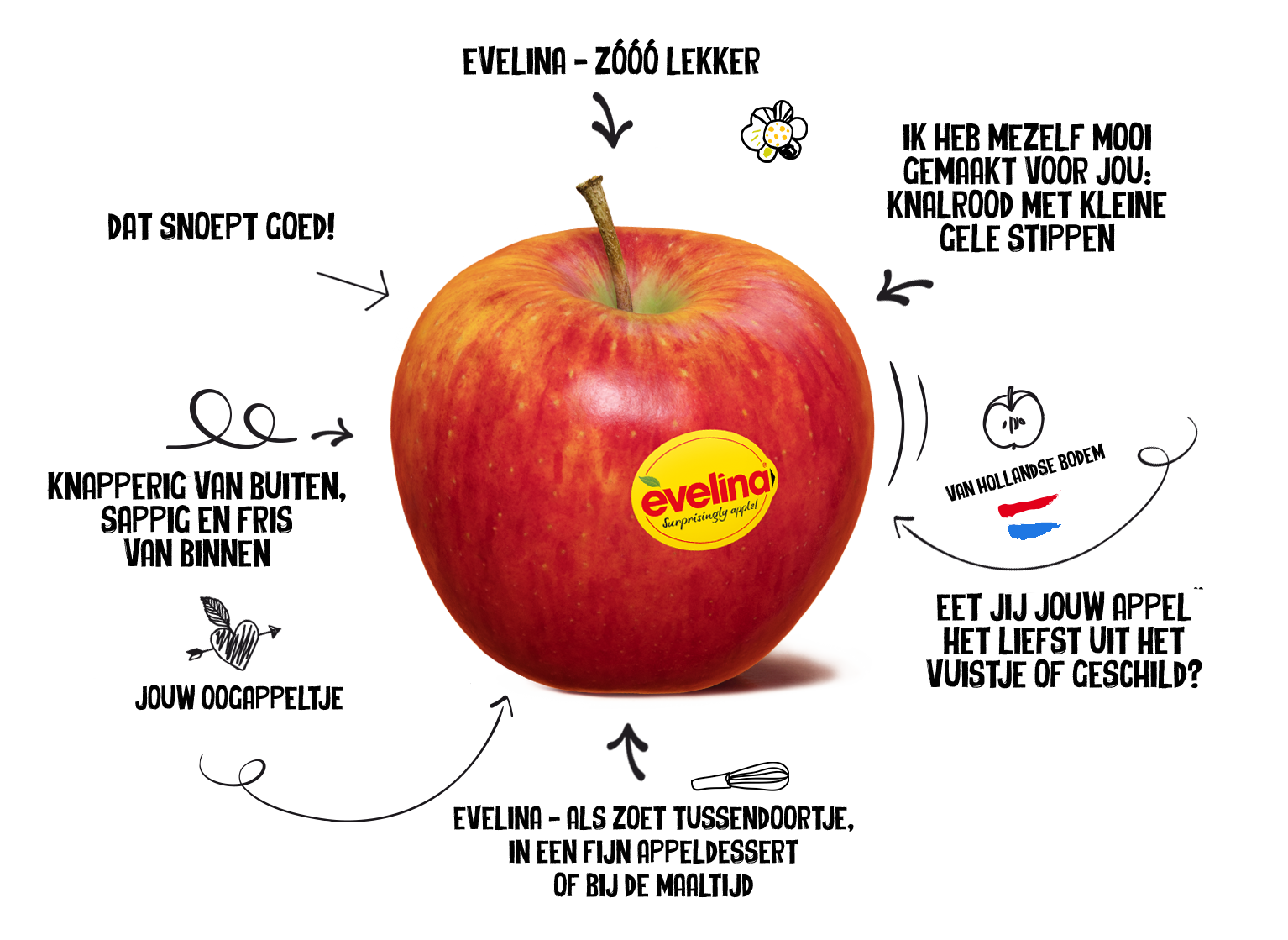 Evelina_eigenschappen_v2.png