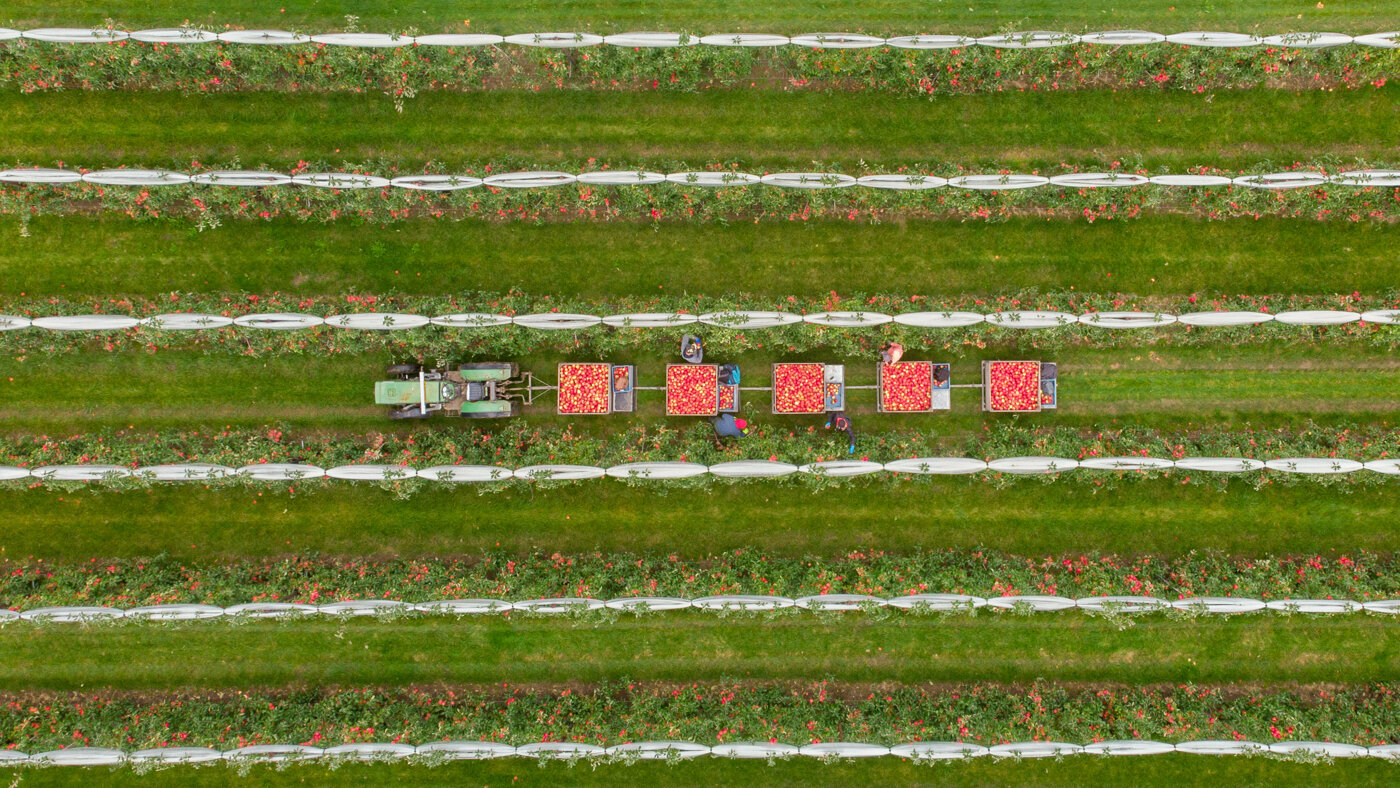 Van Kessel Fruit - Evelina-0910.jpg