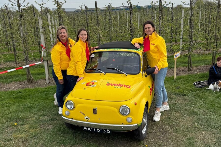 WhatsApp Image 2026-04-13 at 10.37.05 (3).jpeg