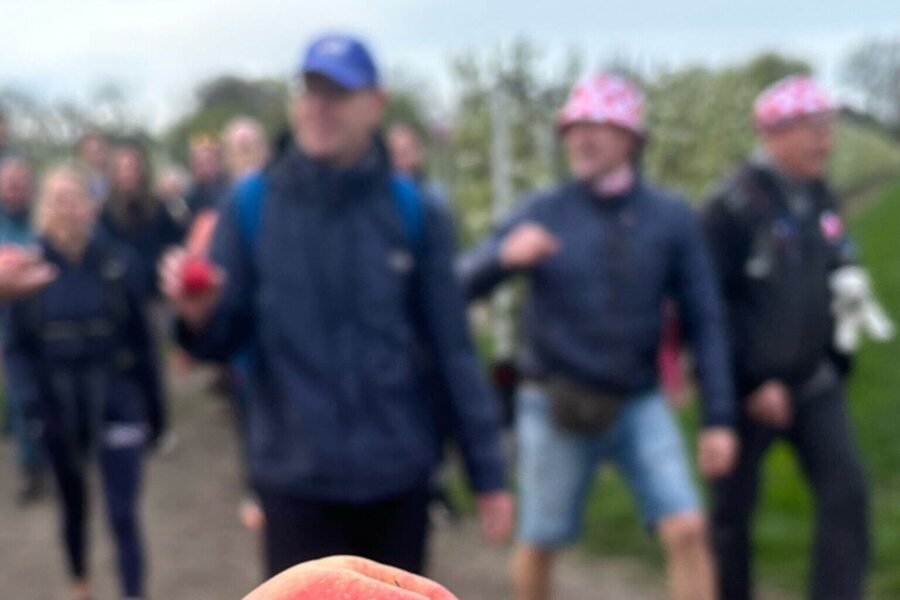 WhatsApp Image 2026-04-13 at 10.37.05.jpeg