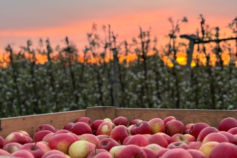 WhatsApp Image 2026-04-13 at 10.37.04 (1).jpeg