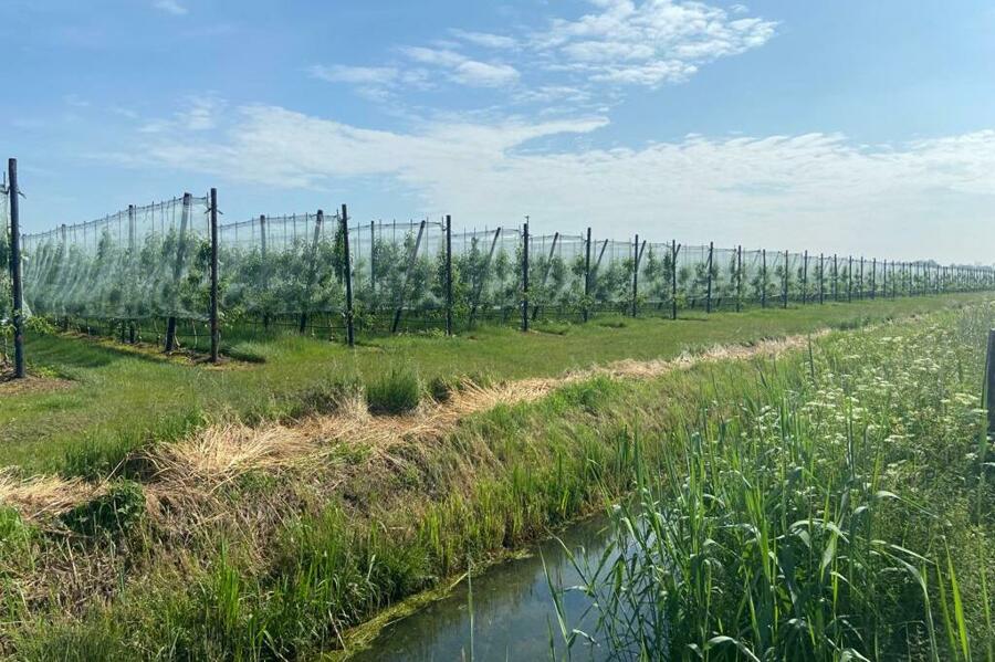 WhatsApp Image 2021-06-04 at 11.09.42.jpeg