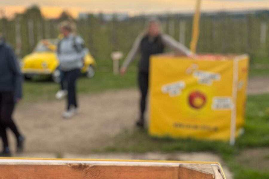 WhatsApp Image 2026-04-13 at 10.37.05 (5).jpeg