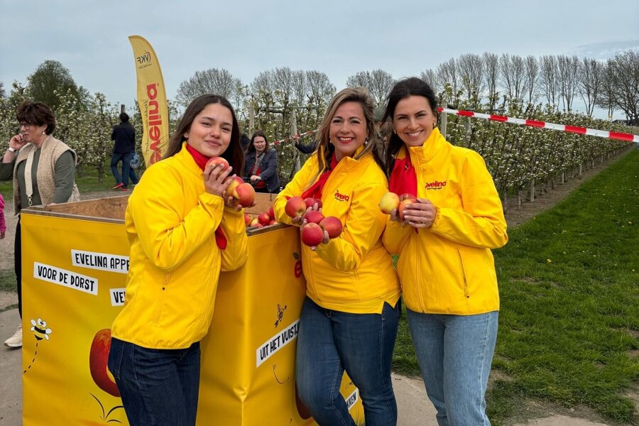 WhatsApp Image 2026-04-13 at 10.37.05 (10).jpeg